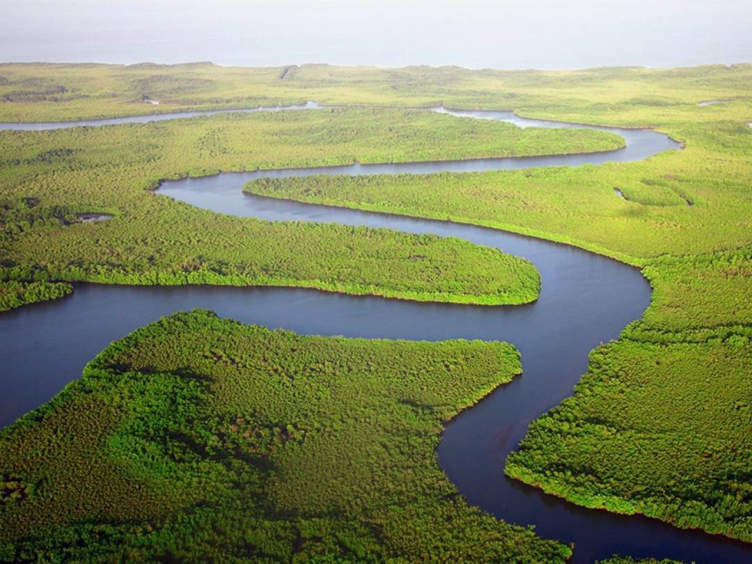 দি গাম্বিয়া