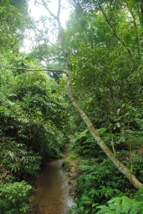 খাদিম নগর