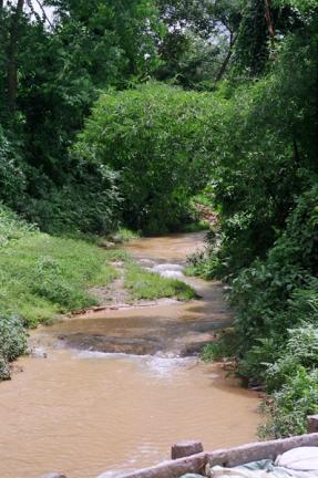 লাউয়াছড়া