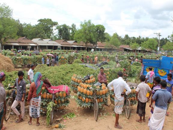জলছত্রের আনারস