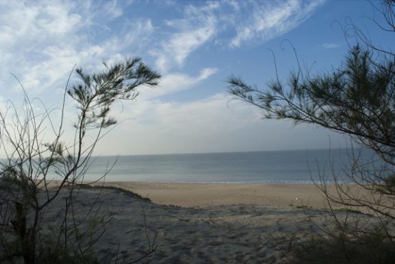 সোনাদিয়া দ্বীপ