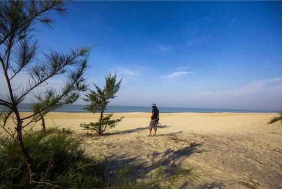 সোনাদিয়া দ্বীপ