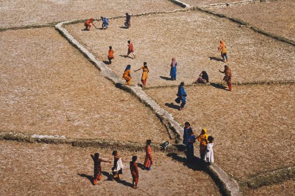 আমার দেখা নিঝুম দ্বীপ