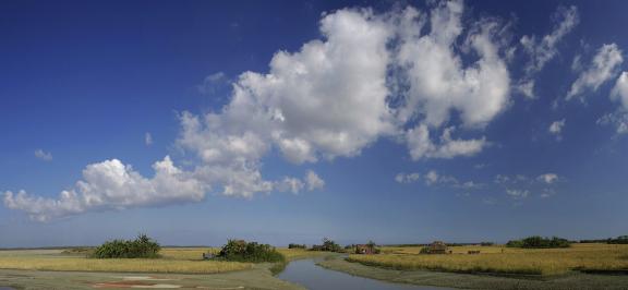 আমার দেখা নিঝুম দ্বীপ