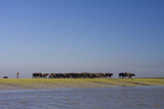 আমার দেখা নিঝুম দ্বীপ