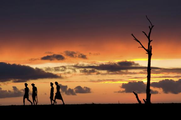 আমার দেখা নিঝুম দ্বীপ