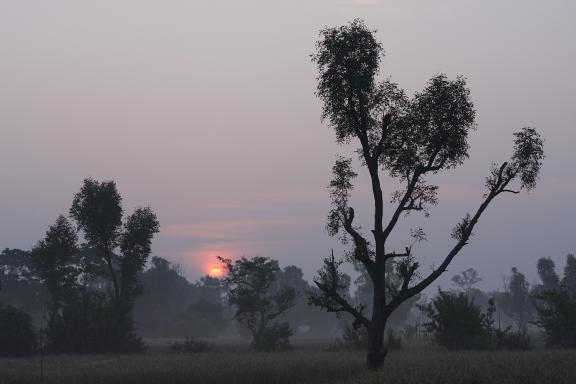 আমার দেখা নিঝুম দ্বীপ