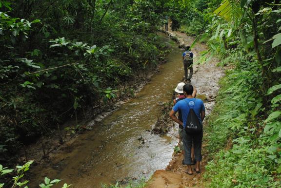 রাতারগুল টু চিকনাগুলি