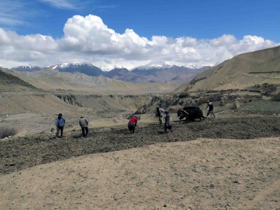 আপার মুস্তাং ট্রেক (নেপাল)