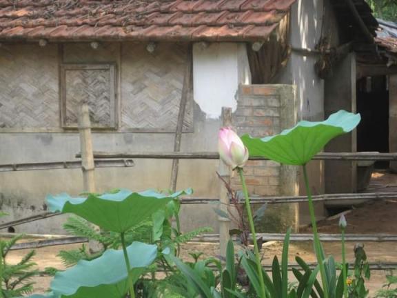 শান্তিনিকেতনের দিনগুলি-১