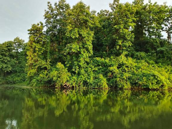 চারুকলায় চারু পাঠ