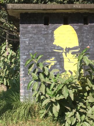 চারুকলায় চারু পাঠ